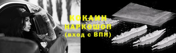 шишки Богданович